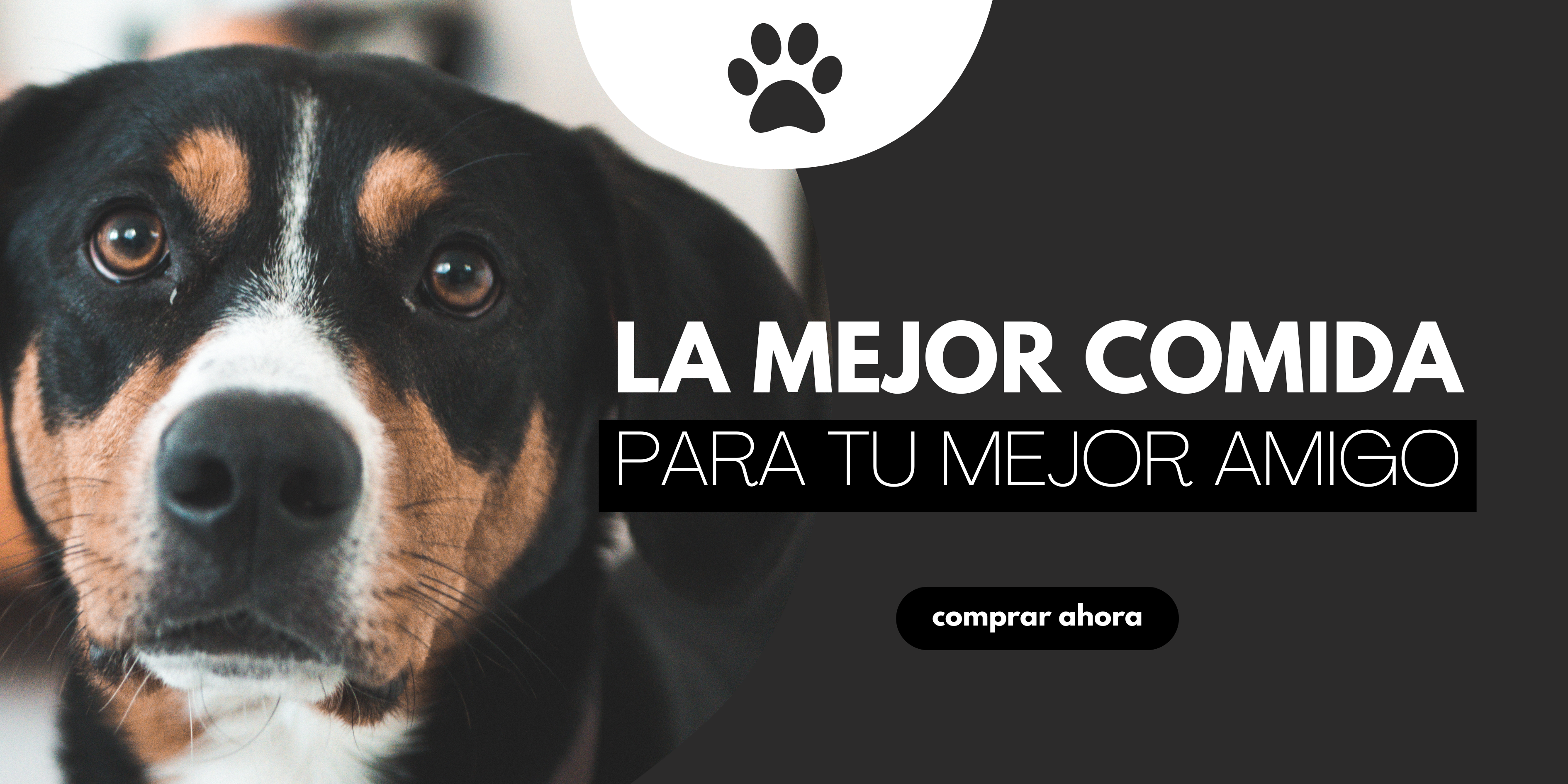 Todo para tus mascotas